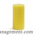 Charlton Home Citronella Pillar Candle CHRL4120